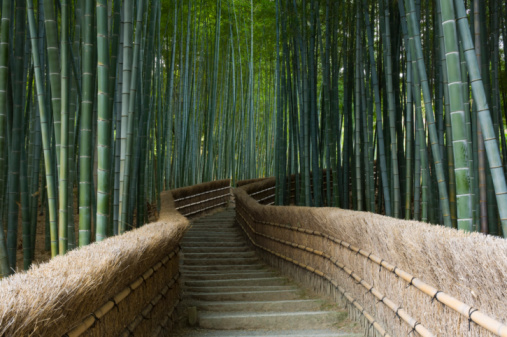 Zen Path